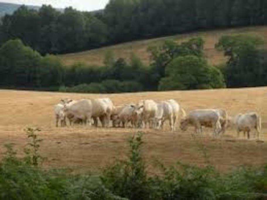 La Ferme Des Pierrettes Villa Menneville Bagian luar foto