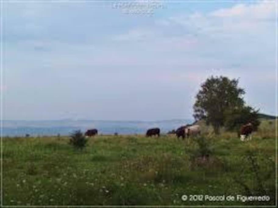 La Ferme Des Pierrettes Villa Menneville Bagian luar foto